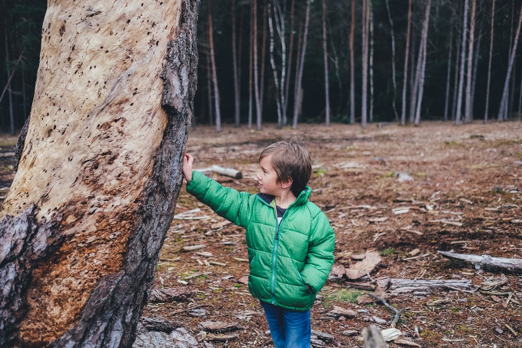 nz ece teacher activities under 5s