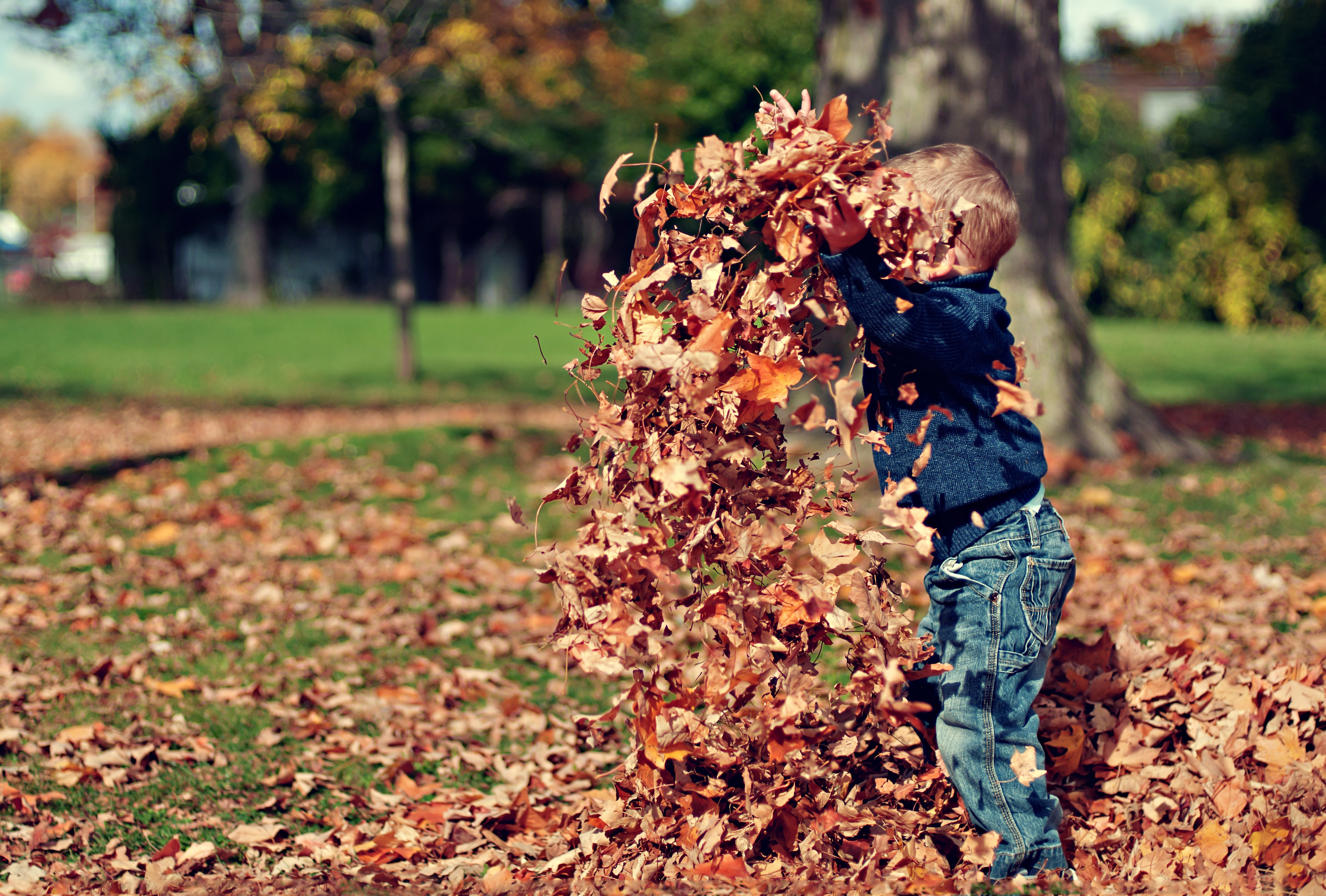Natural ECE nz-ece-child-in-leaves