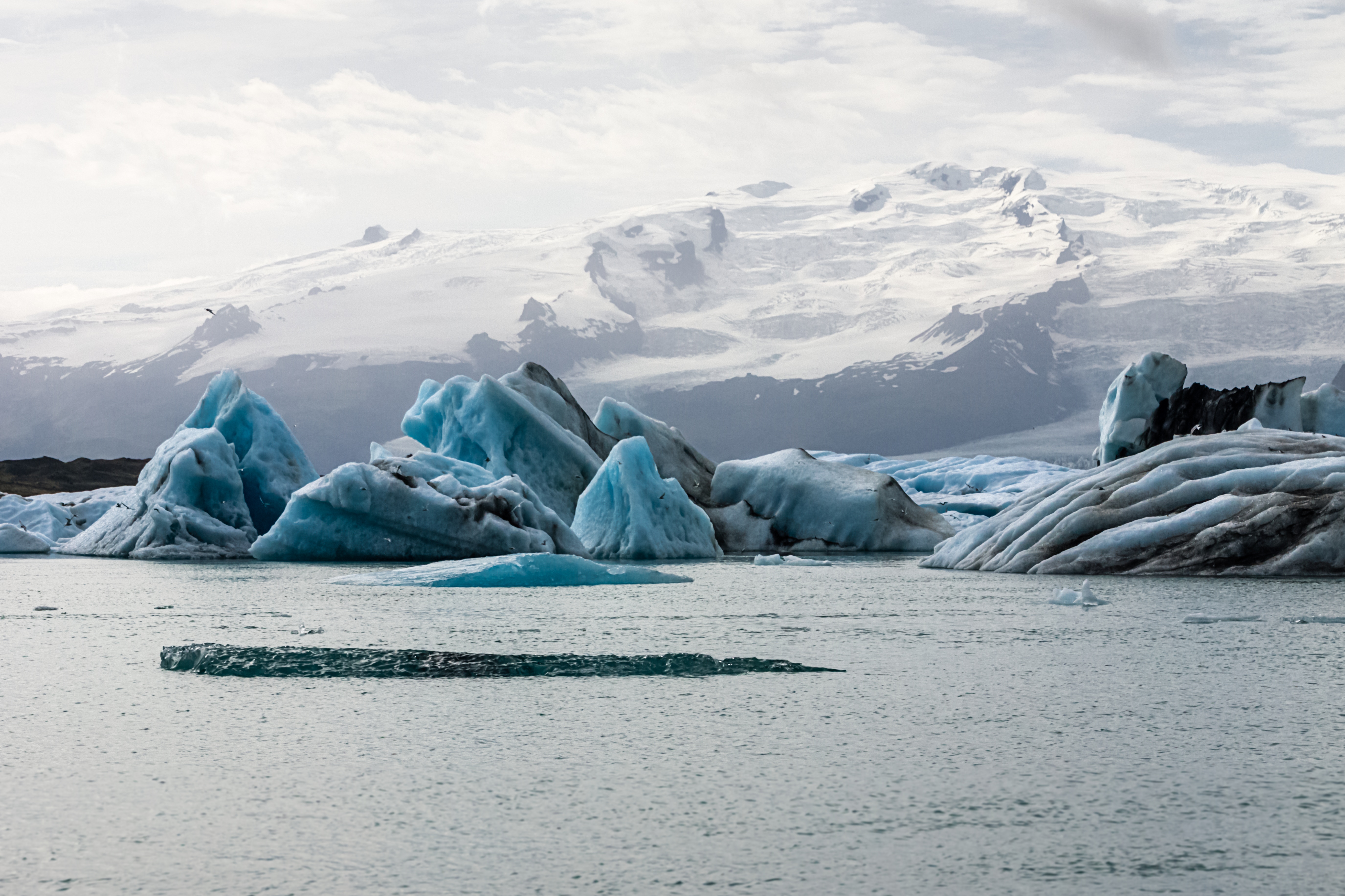 nz-ece-melting-ice-caps