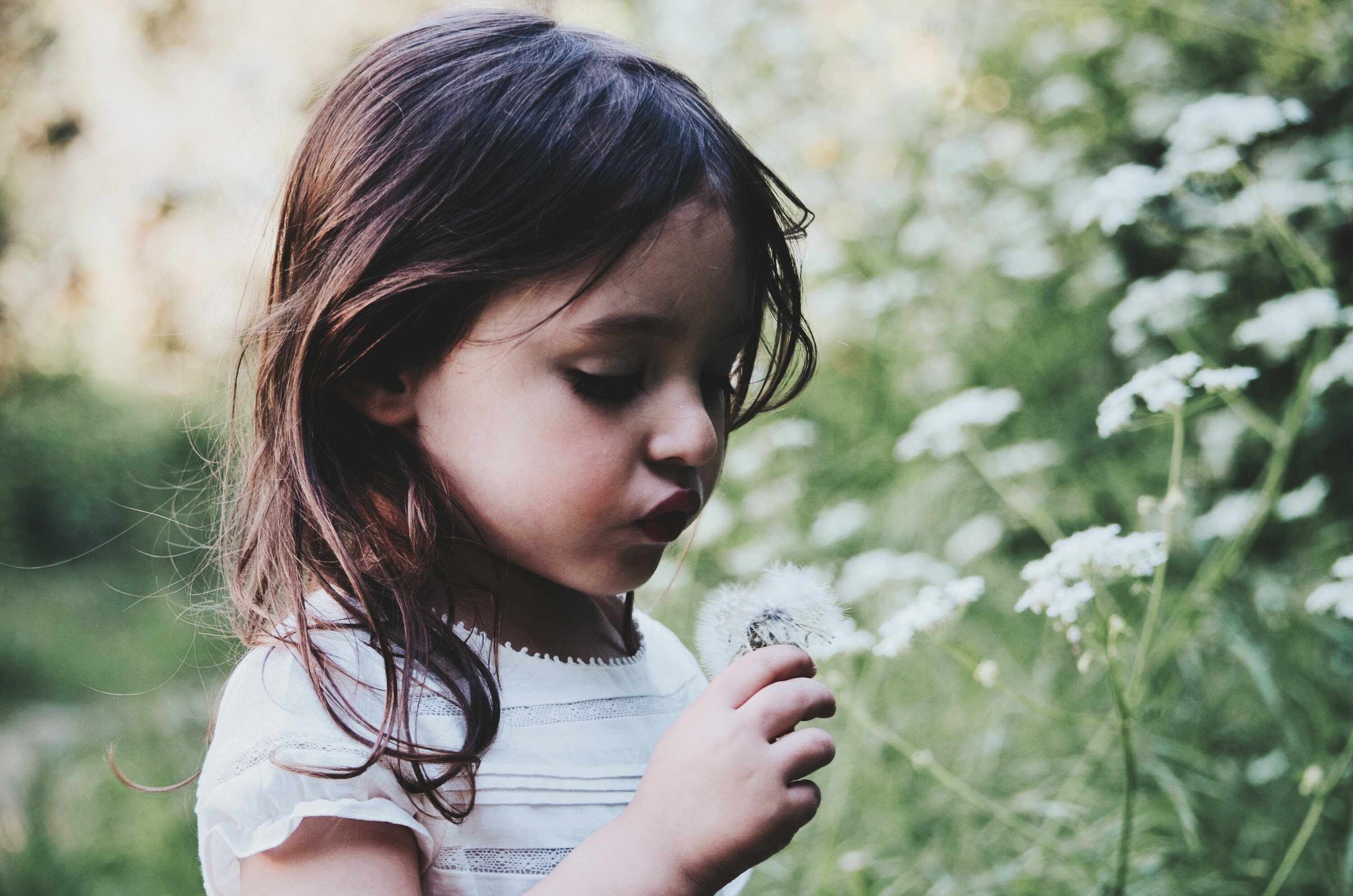 nz-ece-girl-in-nature